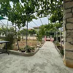 Appartement Apartman Pcelica *